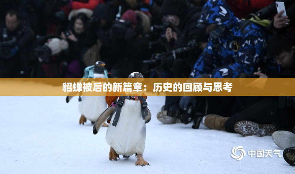 貂蝉被后的新篇章：历史的回顾与思考