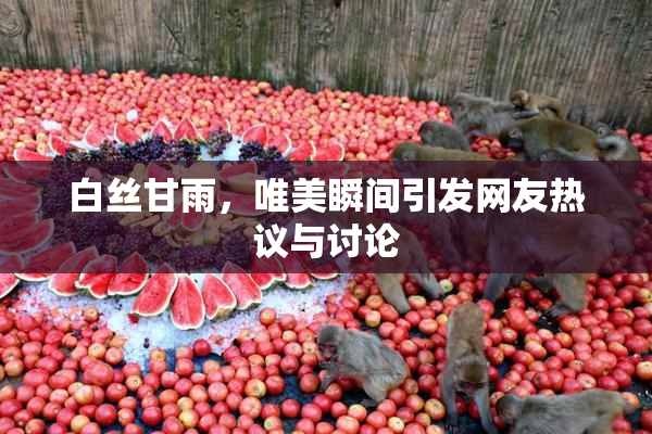 白丝甘雨，唯美瞬间引发网友热议与讨论