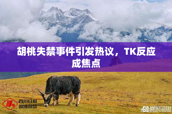 胡桃失禁事件引发热议，TK反应成焦点