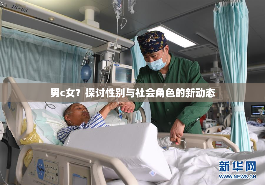 男c女？探讨性别与社会角色的新动态