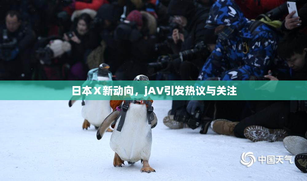 日本Ⅹ新动向，jA∨引发热议与关注