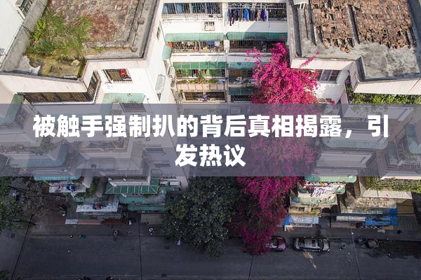 被触手强制扒的背后真相揭露，引发热议