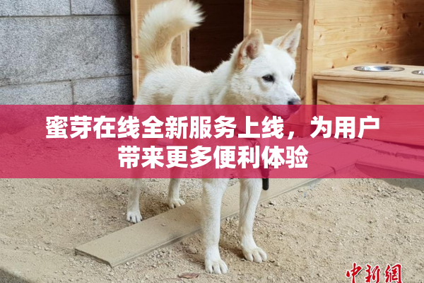 蜜芽在线全新服务上线，为用户带来更多便利体验