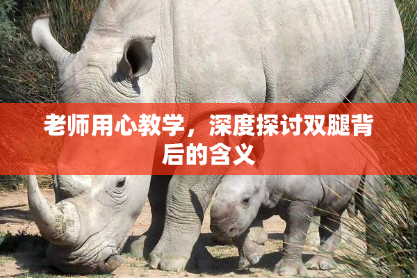 老师用心教学，深度探讨双腿背后的含义