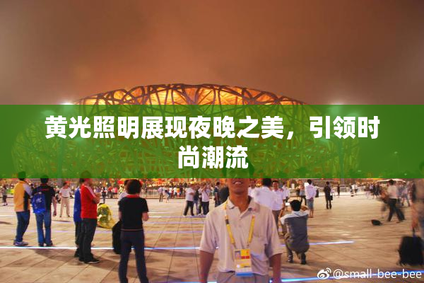 黄光照明展现夜晚之美，引领时尚潮流