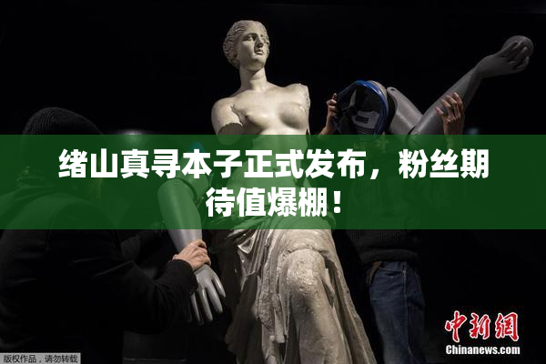 绪山真寻本子正式发布，粉丝期待值爆棚！