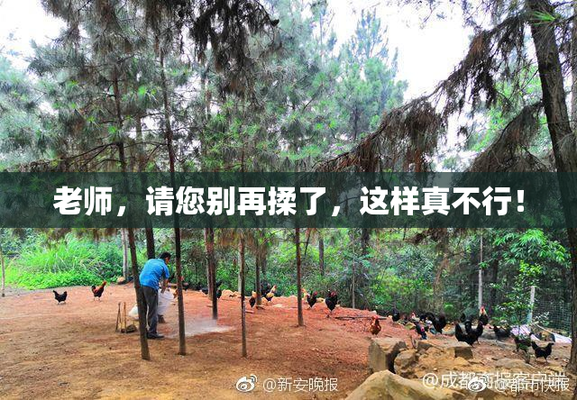 老师，请您别再揉了，这样真不行！