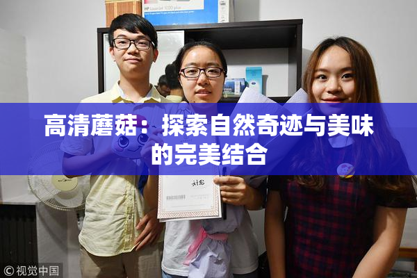 高清蘑菇：探索自然奇迹与美味的完美结合