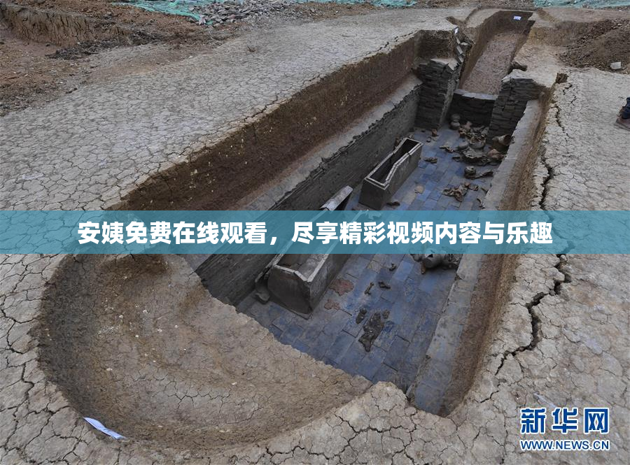 安姨免费在线观看，尽享精彩视频内容与乐趣