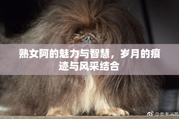 熟女阿的魅力与智慧，岁月的痕迹与风采结合