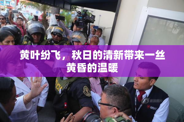 黄叶纷飞，秋日的清新带来一丝黄昏的温暖