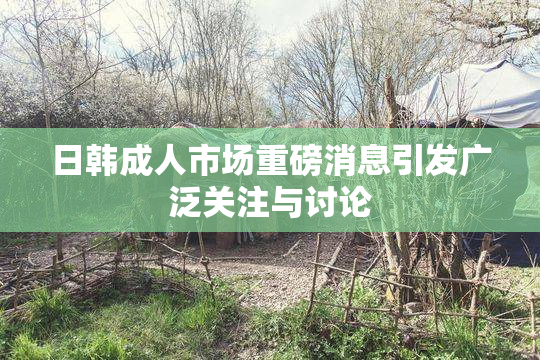 日韩成人市场重磅消息引发广泛关注与讨论