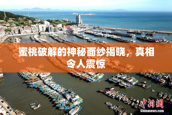 蜜桃破解的神秘面纱揭晓，真相令人震惊