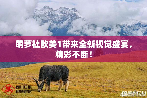 萌萝社欧美1带来全新视觉盛宴，精彩不断！
