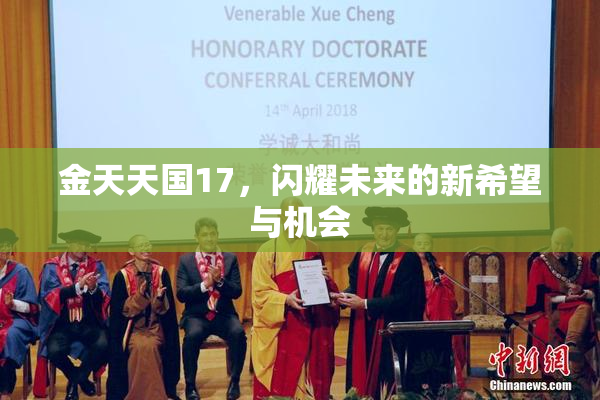 金天天国17，闪耀未来的新希望与机会