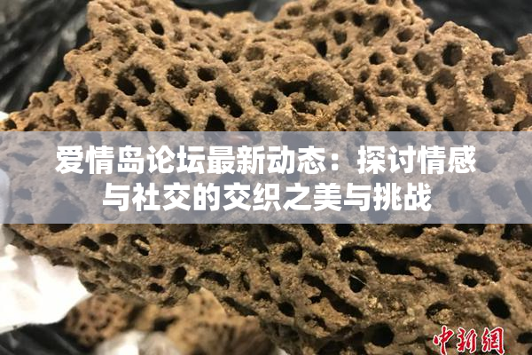 爱情岛论坛最新动态：探讨情感与社交的交织之美与挑战