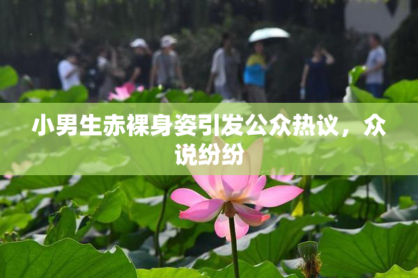 小男生赤裸身姿引发公众热议，众说纷纷