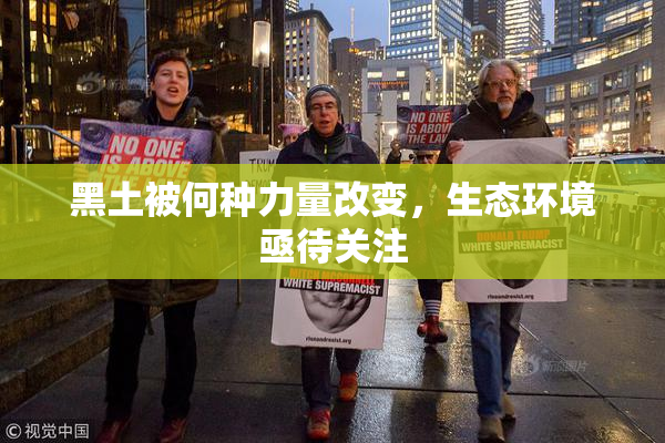 黑土被何种力量改变，生态环境亟待关注