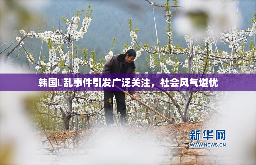 韩国婬乱事件引发广泛关注，社会风气堪忧