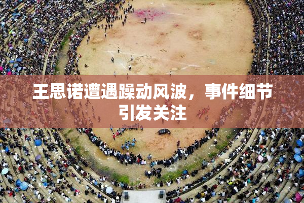 王思诺遭遇躁动风波，事件细节引发关注