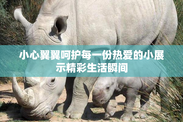 小心翼翼呵护每一份热爱的小展示精彩生活瞬间