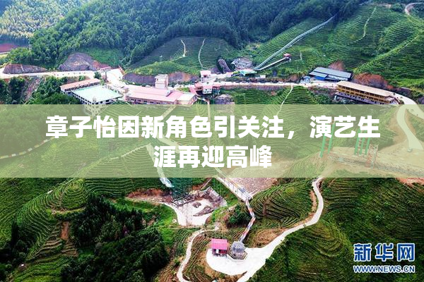 章子怡因新角色引关注，演艺生涯再迎高峰