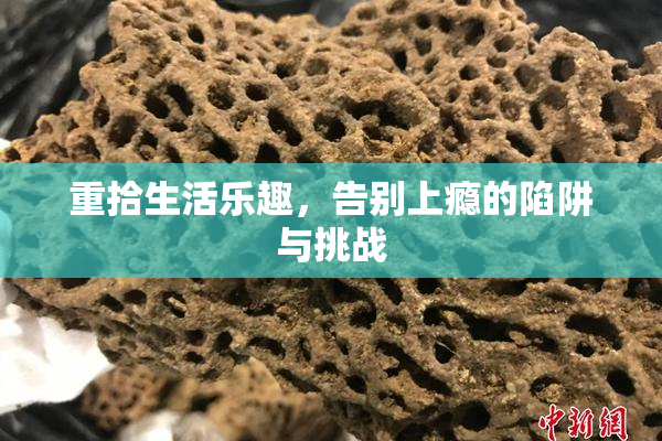 重拾生活乐趣，告别上瘾的陷阱与挑战