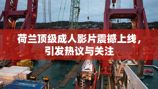 荷兰顶级成人影片震撼上线，引发热议与关注