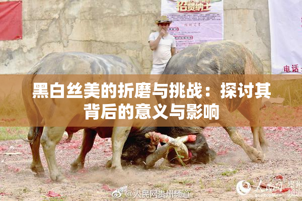 黑白丝美的折磨与挑战：探讨其背后的意义与影响