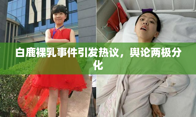 白鹿裸乳事件引发热议，舆论两极分化
