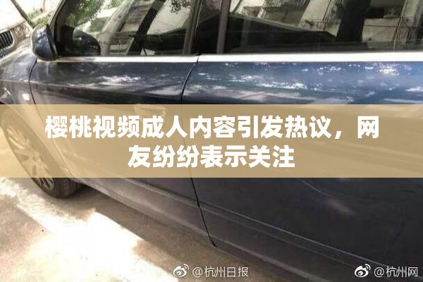 樱桃视频成人内容引发热议，网友纷纷表示关注