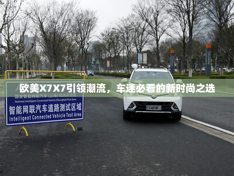欧美X7X7引领潮流，车迷必看的新时尚之选