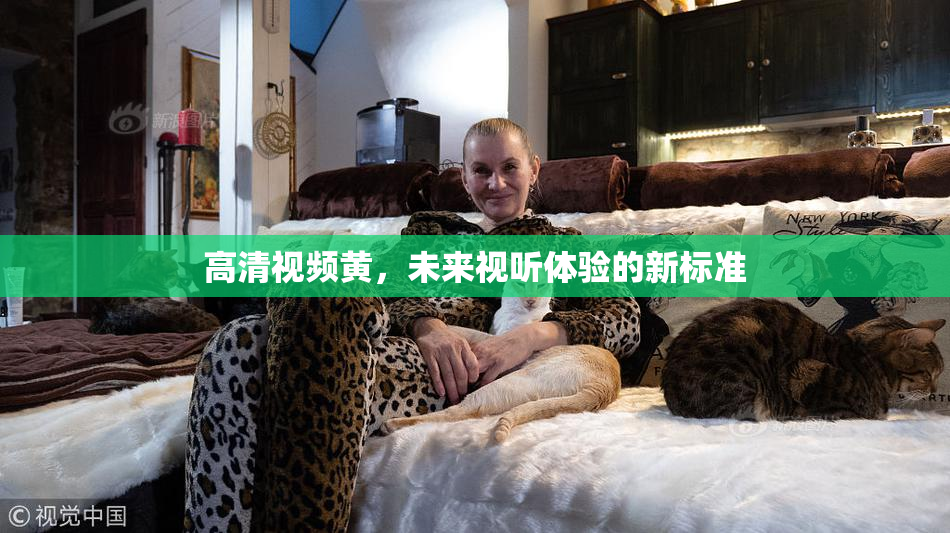 高清视频黄，未来视听体验的新标准