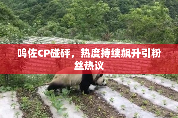 鸣佐CP碰砰，热度持续飙升引粉丝热议