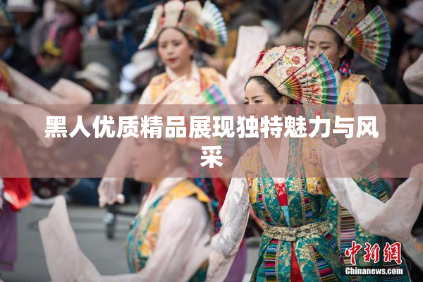 黑人优质精品展现独特魅力与风采