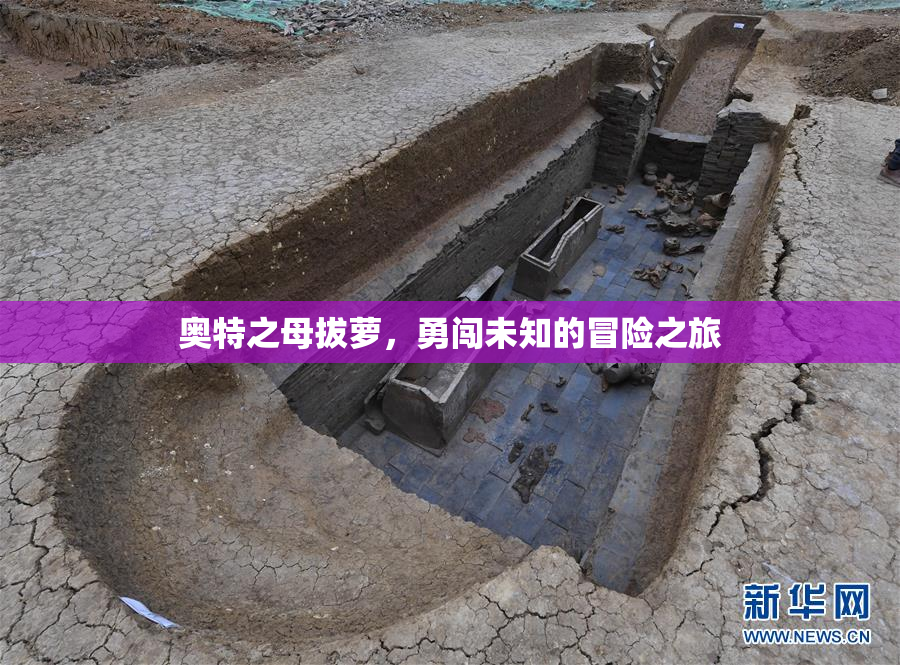 奥特之母拔萝，勇闯未知的冒险之旅