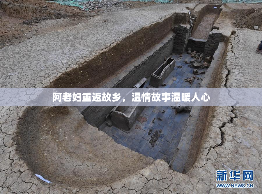 阿老妇重返故乡，温情故事温暖人心