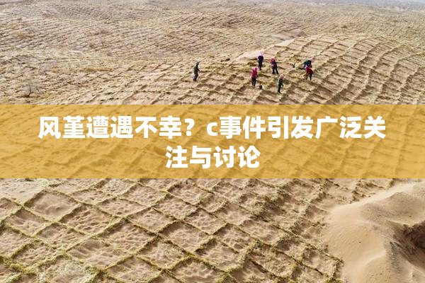 风堇遭遇不幸？c事件引发广泛关注与讨论