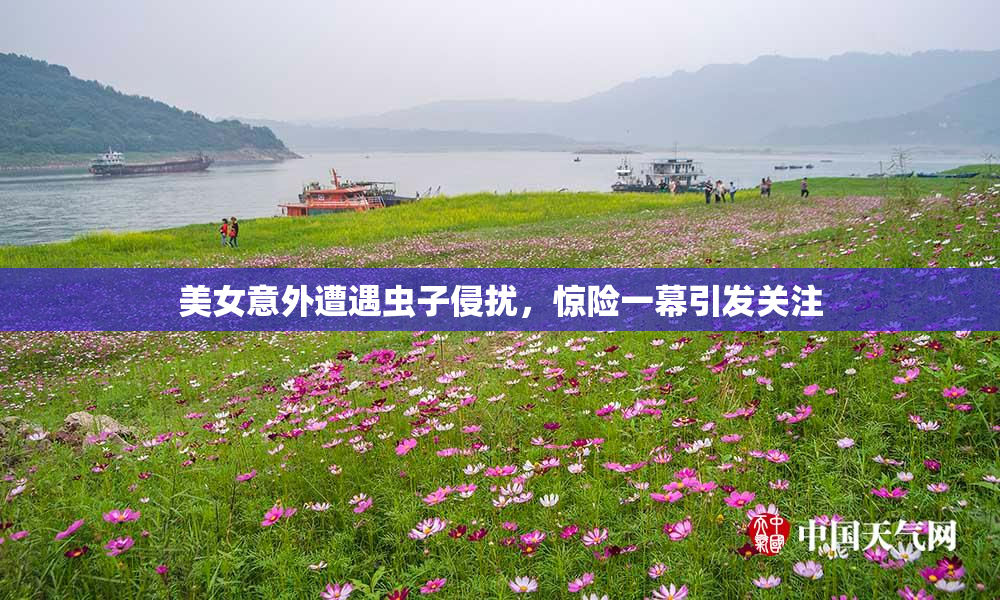 美女意外遭遇虫子侵扰，惊险一幕引发关注