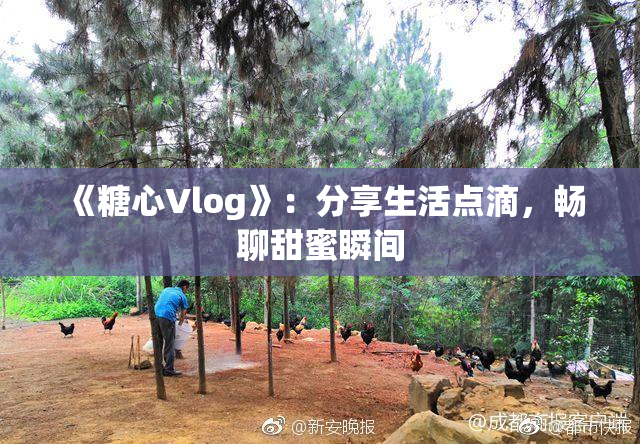 《糖心Vlog》：分享生活点滴，畅聊甜蜜瞬间