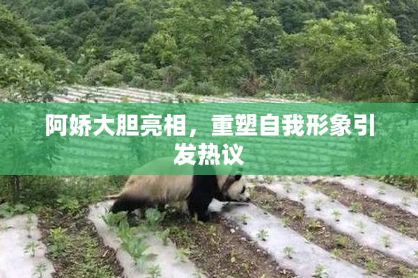 阿娇大胆亮相，重塑自我形象引发热议