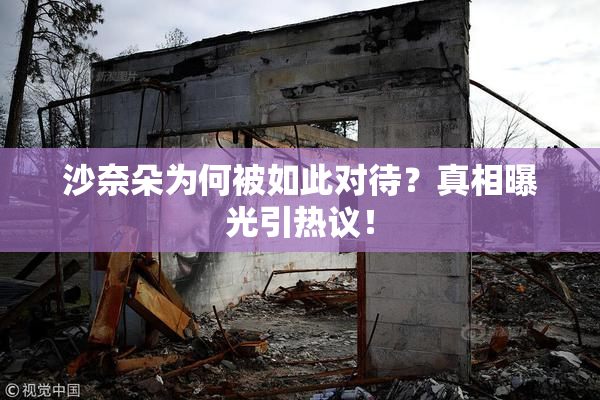 沙奈朵为何被如此对待？真相曝光引热议！
