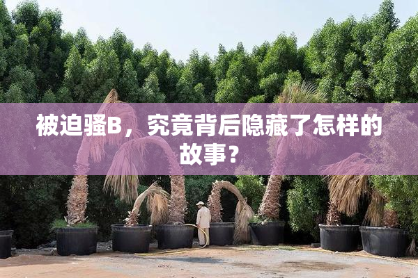 被迫骚B，究竟背后隐藏了怎样的故事？