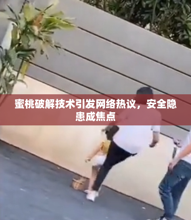 蜜桃破解技术引发网络热议，安全隐患成焦点