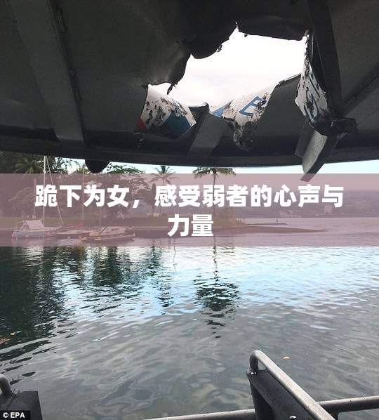 跪下为女，感受弱者的心声与力量