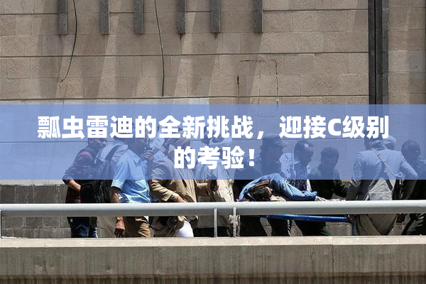 瓢虫雷迪的全新挑战，迎接C级别的考验！