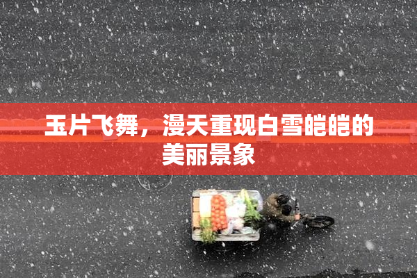 玉片飞舞，漫天重现白雪皑皑的美丽景象