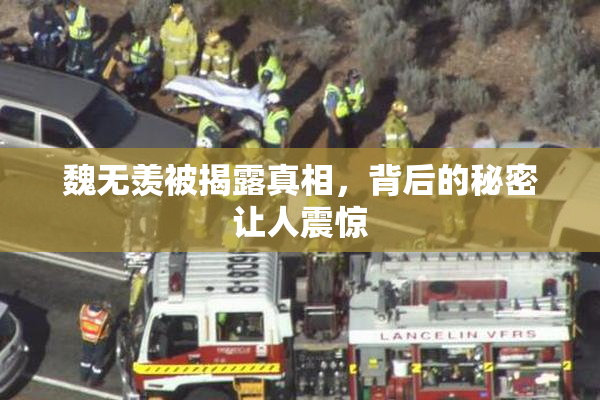 魏无羡被揭露真相，背后的秘密让人震惊