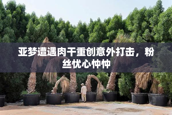 亚梦遭遇肉干重创意外打击，粉丝忧心忡忡