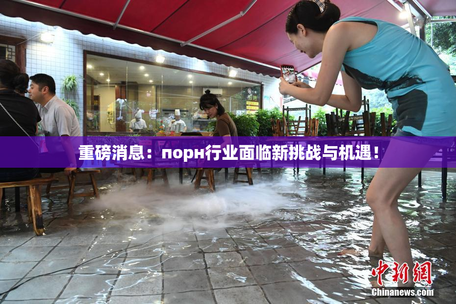 重磅消息：порн行业面临新挑战与机遇！